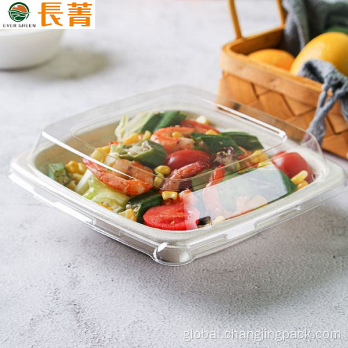 Micrawaveable Biodegradable Salad Soup Bowl Disposable Eco-friendly Natural Sauce Sugarcane Noodle Bowl Factory